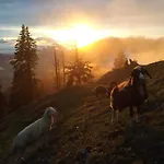 Spulhof Lägenhet