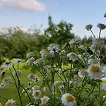 Lägenhet Spulhof Abtenau