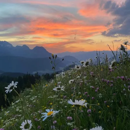 Spulhof *