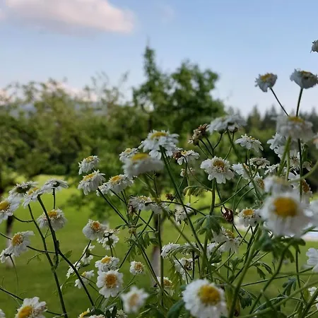 Lägenhet Spulhof Abtenau