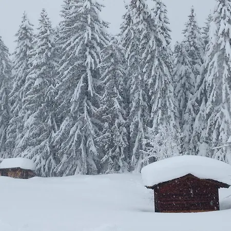 Apartamento Spulhof Abtenau