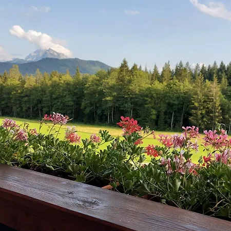 Spulhof Apartment Abtenau