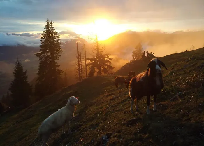 Spulhof Апартаменты