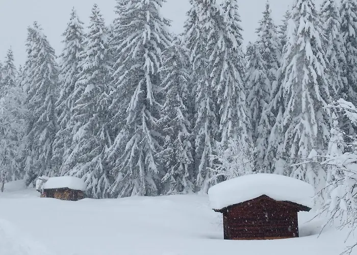 Апартаменты Spulhof Абтенау